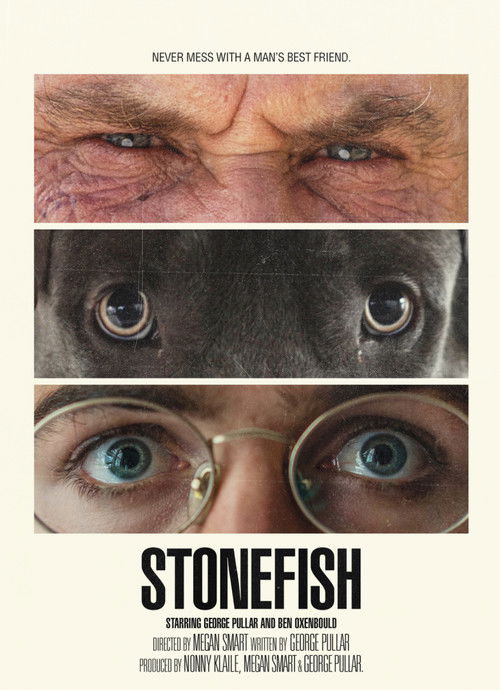 Stonefish (2022) poster
