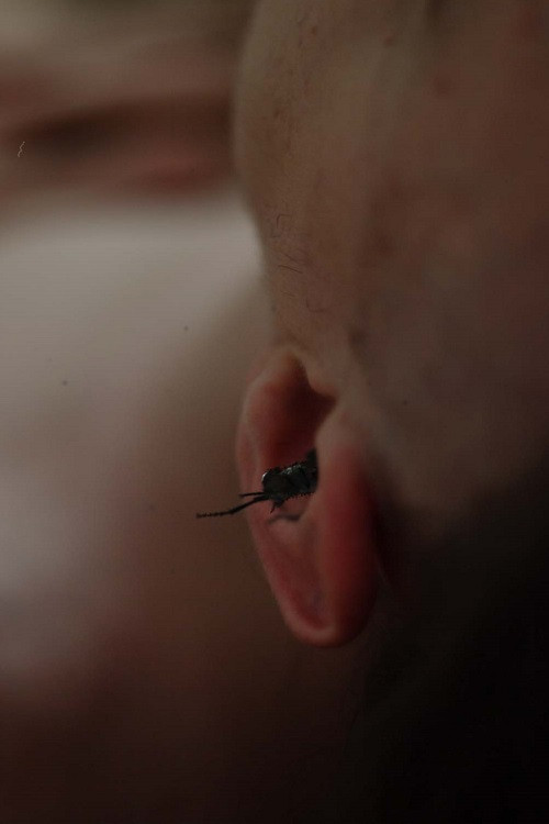 Zashlo (2019) poster