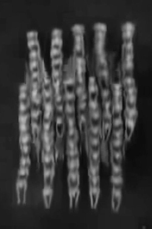 Lossless #5 (2008) poster