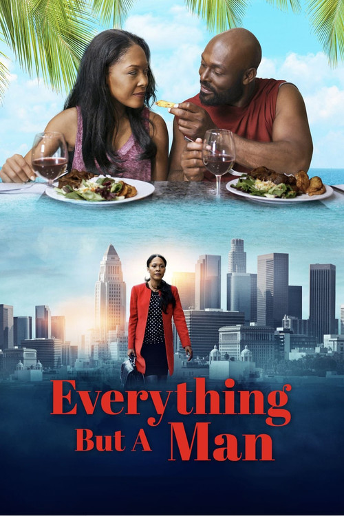 Everything But a Man (2016) poster