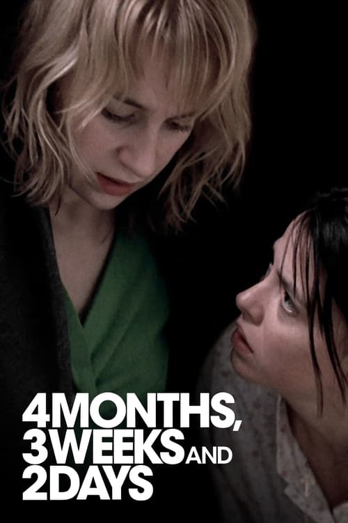 4 Months, 3 Weeks and 2 Days (2007) poster