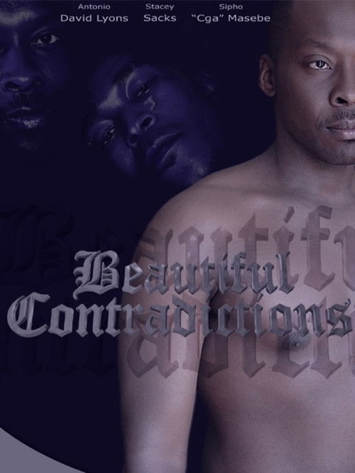 Beautiful Contradictions (2009) poster