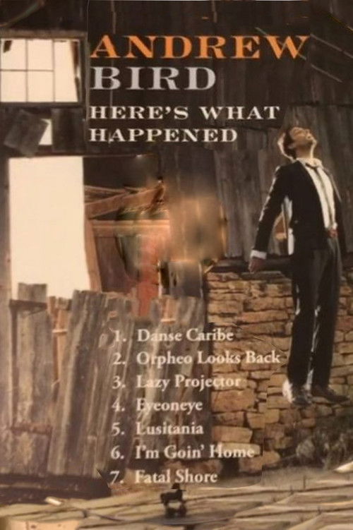 Andrew Bird: Here's What Happened (2012) poster