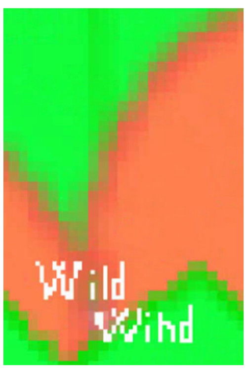 Wild Wind (2009) poster