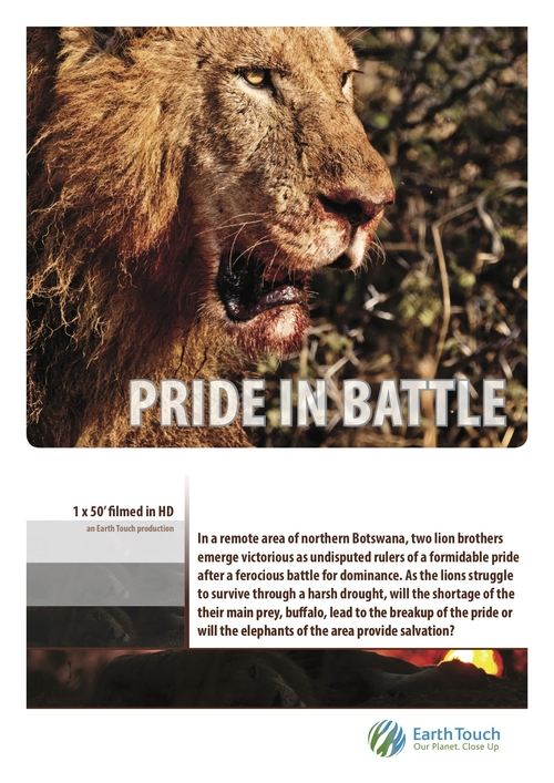 Pride in Battle (2010) poster