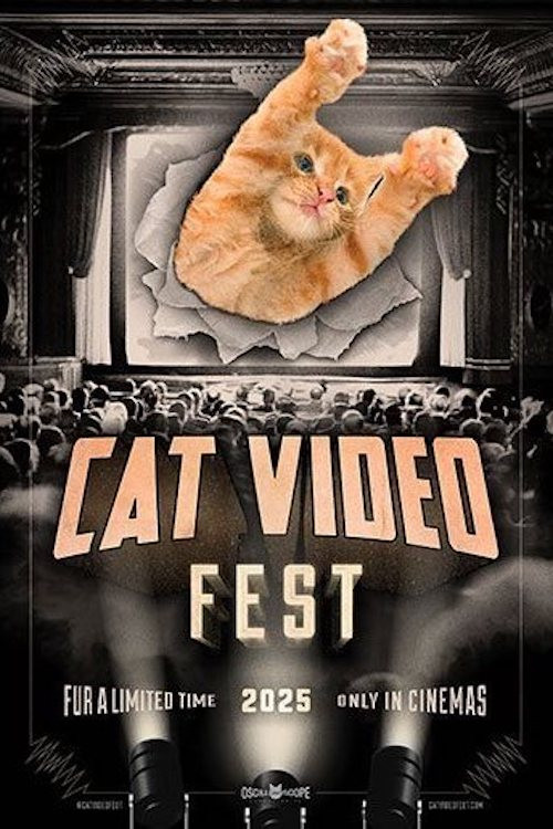 CatVideoFest 2025 (2025) poster