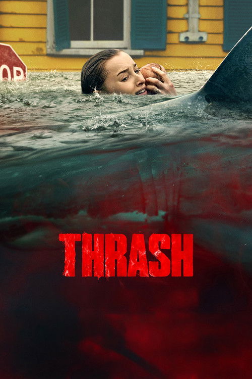 Ani Saldırı (2026) poster