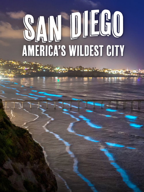 San Diego: America's Wildest City (2024) poster