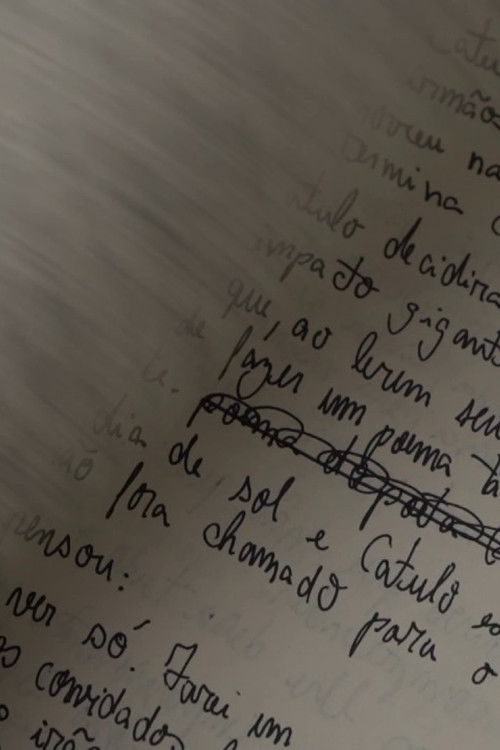 Maybe I Need To Give The Voice poster