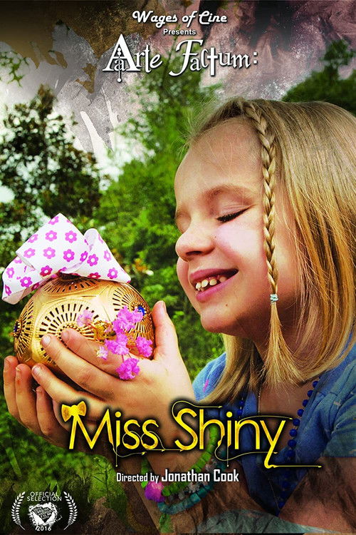 Miss Shiny (2016) poster