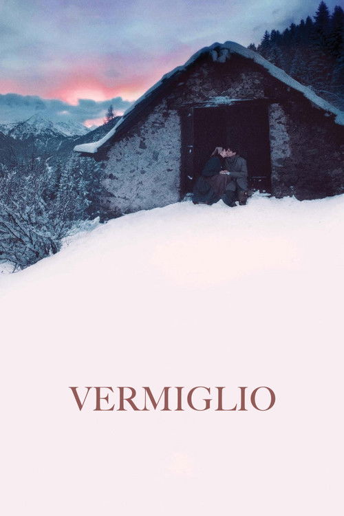 Vermiglio (2024) poster
