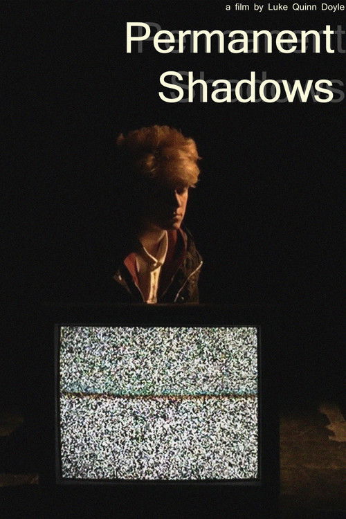 Permanent Shadows (2017) poster