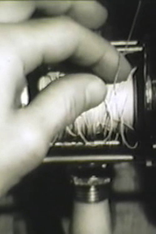 The Awful Backlash (1967) poster