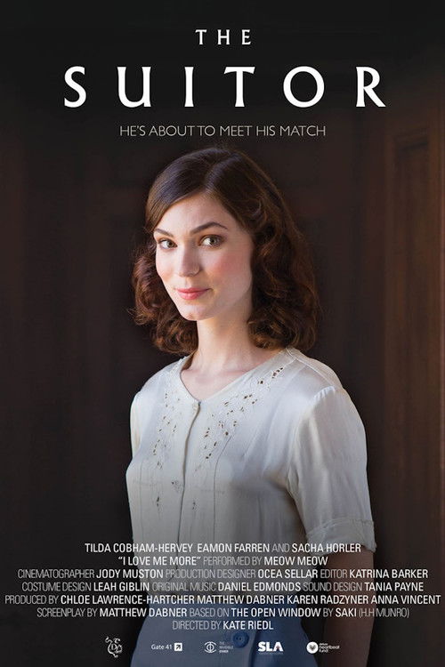 The Suitor (2017) poster