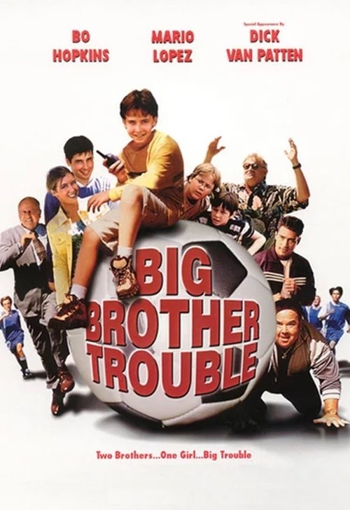 Big Brother Trouble (2000) poster