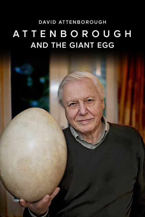 Attenborough and the Giant Egg (2011) poster