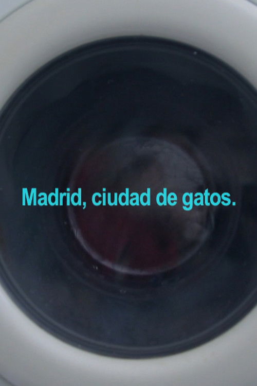 Madrid, City of Cats (2020) poster