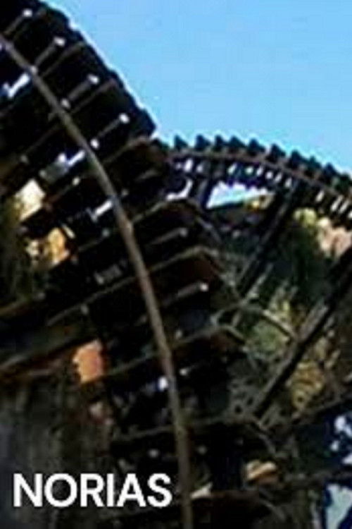 Norias (2004) poster