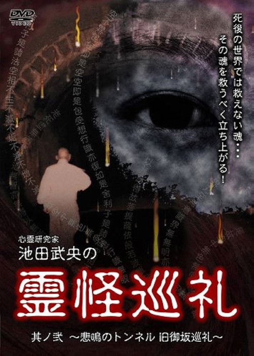 Shinrei Kenkyūka Ikeda Takeo no Reikai Junrei Sono Ni: Himei no Tonneru Kyū Misaka Junrei (2008) poster