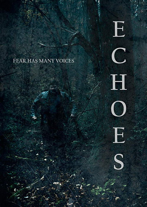 Echoes (2018) poster