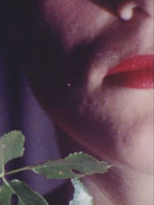 In Rouge (1990) poster