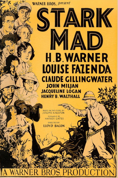 Stark Mad (1929) poster