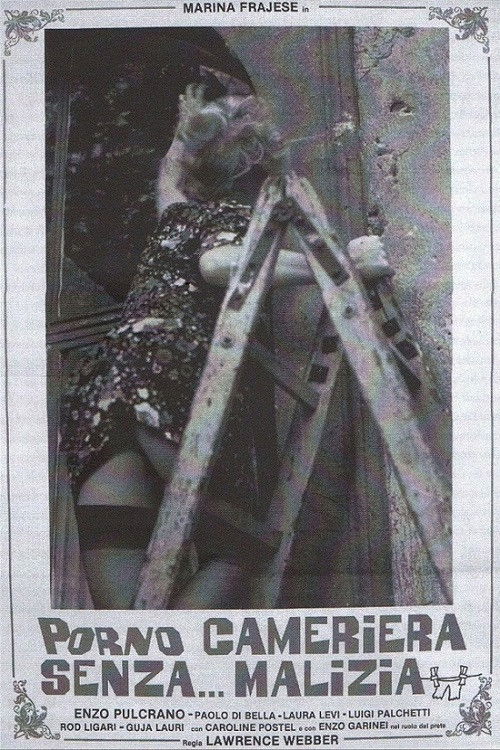 Cameriera senza... malizia (1980) poster