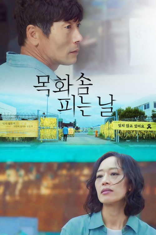 목화솜 피는 날 (2024) poster