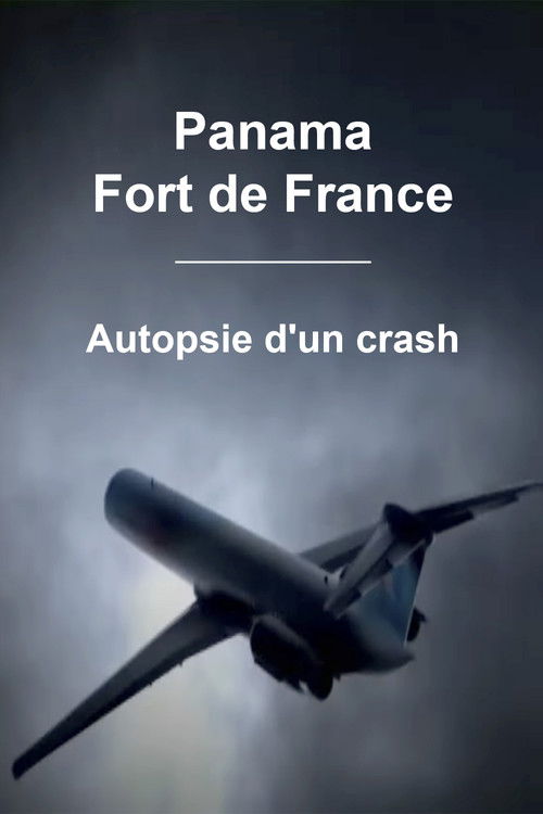 Panama - Fort de France : Autopsie d'un crash (2010) poster