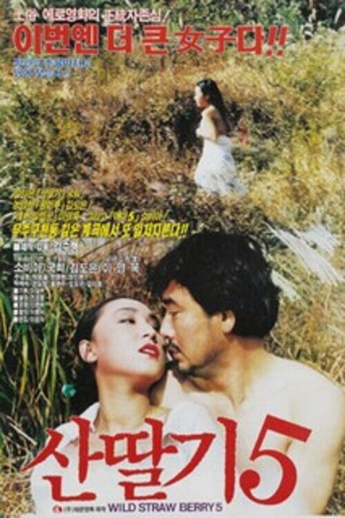 산딸기 5 (1992) poster