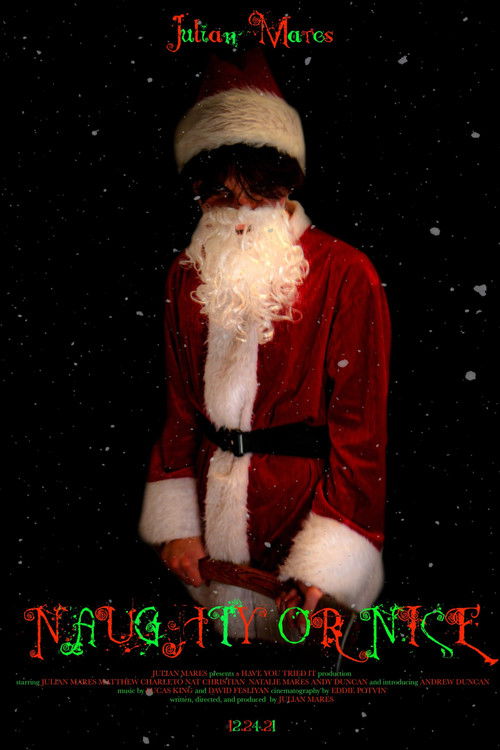 Naughty or Nice (2021) poster