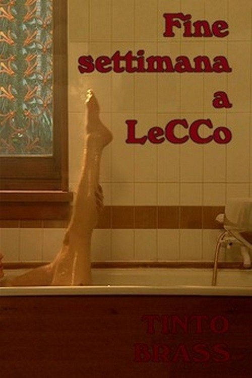 Fine settimana a Lecco (1999) poster