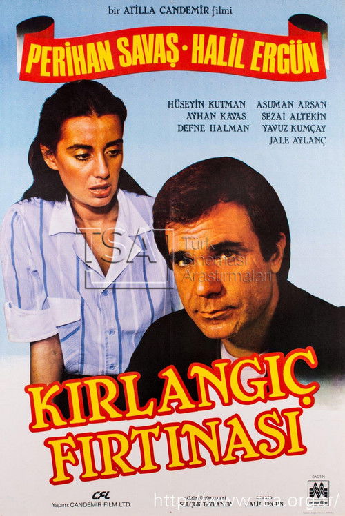 Kırlangıç Fırtınası (1985) poster