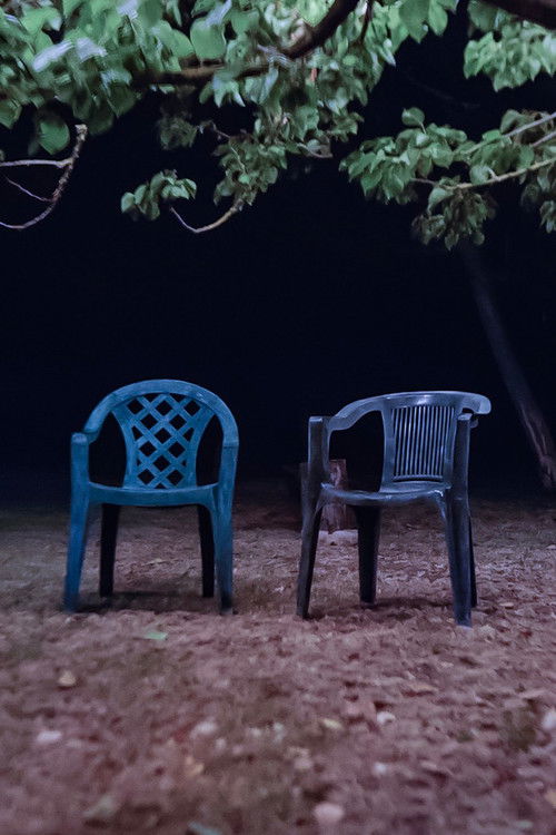 Don't Think It Will Ever Pass (2023) poster