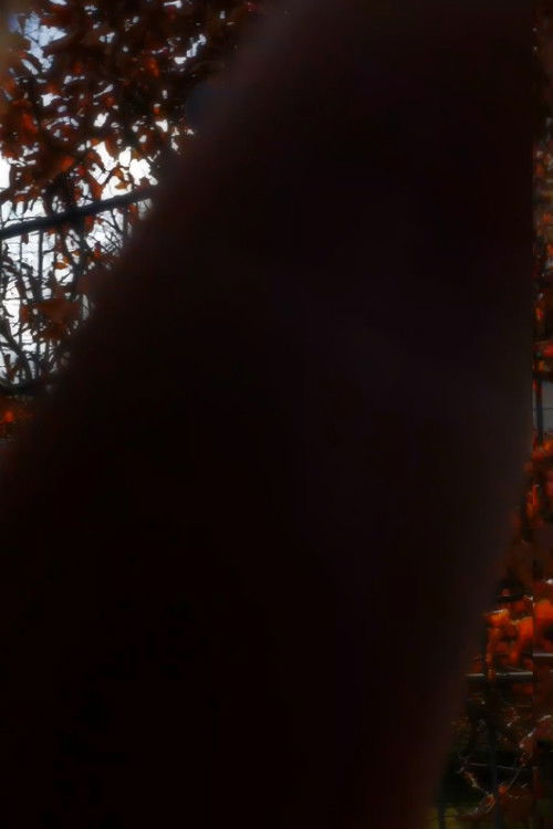 Winter for Rose (2021) poster