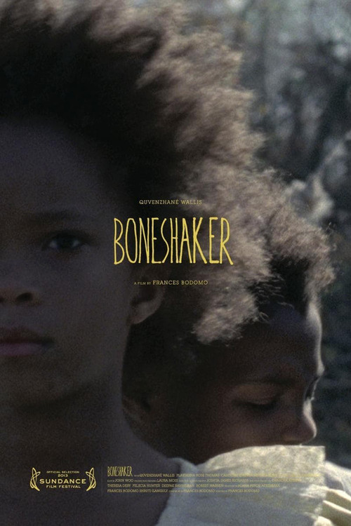 Boneshaker (2013) poster