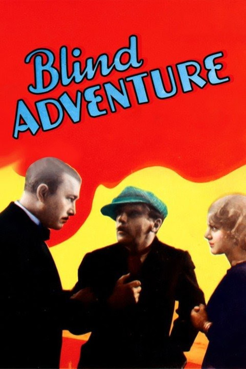 Blind Adventure (1933) poster