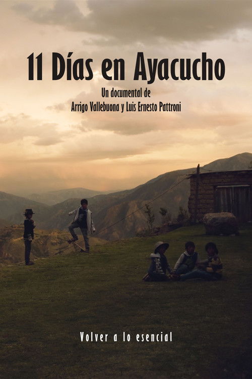 11 Días en Ayacucho (2024) poster