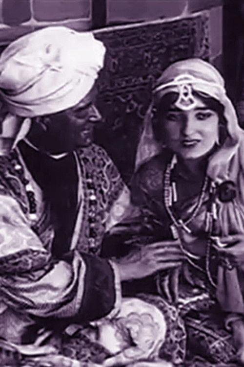 The Mystery of the Sleeping Death (1914) poster