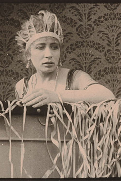 Die Erbschaft von New York (1919) poster