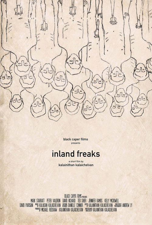 Inland Freaks (2017) poster