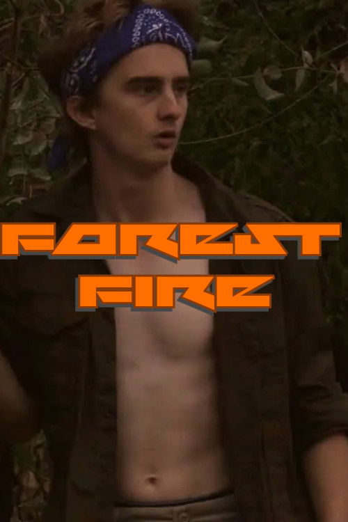 Forest Fire (2022) poster