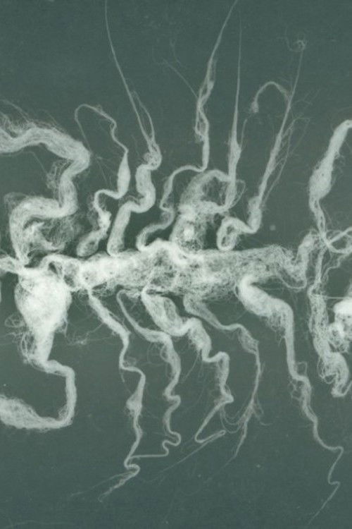 Ci sono gli spiriti (2009) poster