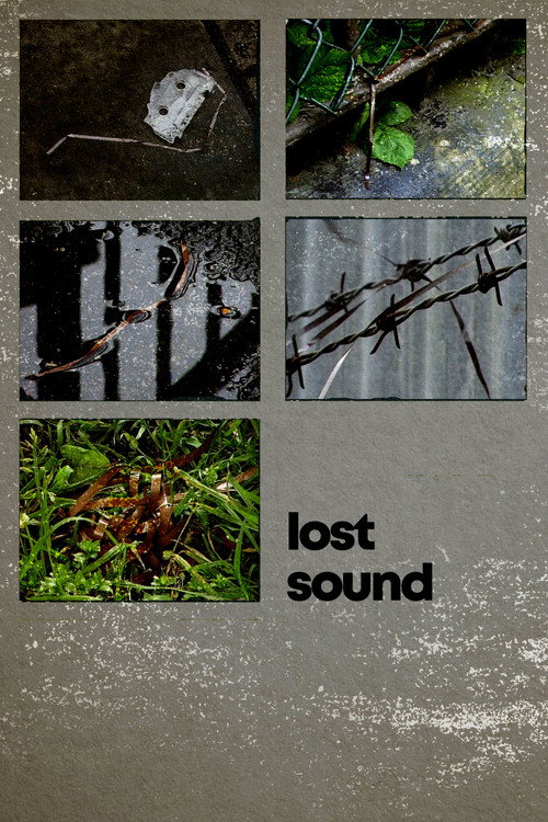 Lost Sound (2001) poster