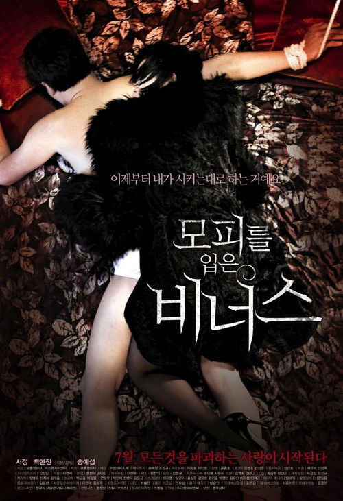 Venus in Furs (2012) poster