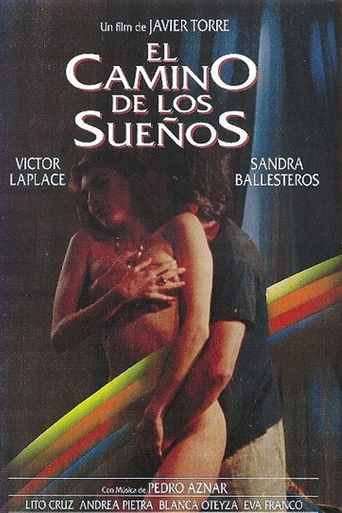 El camino de los sueños (1993) poster