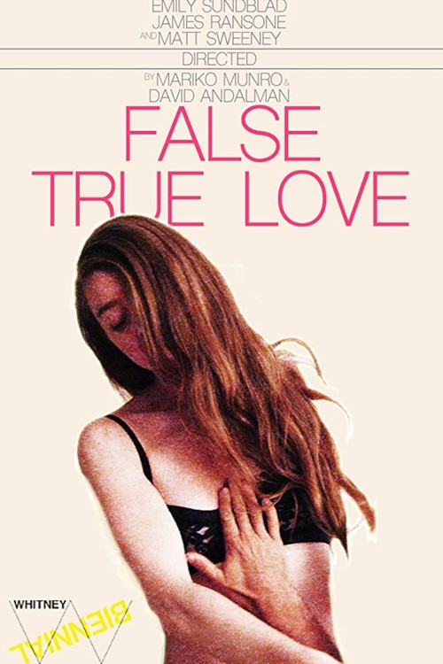 False True Love (2014) poster