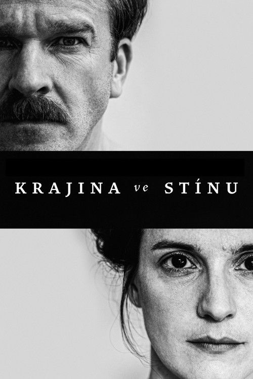 Krajina ve stínu (2020) poster