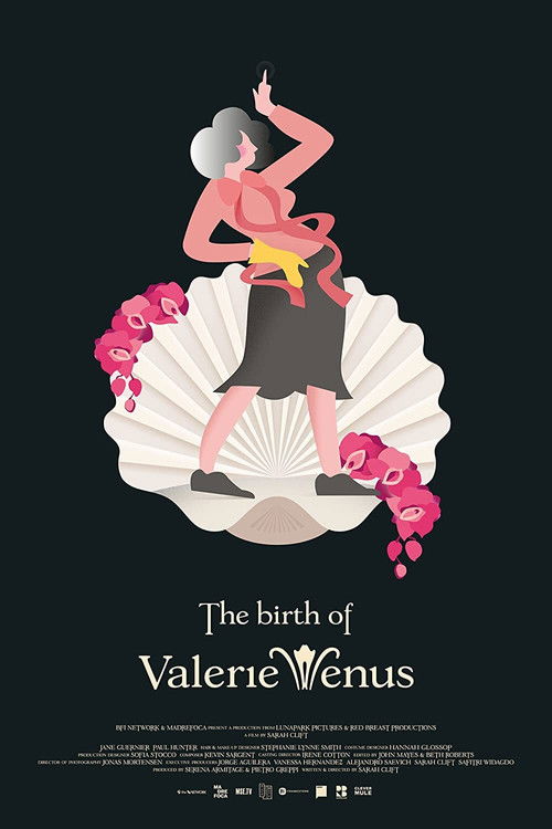 The Birth of Valerie Venus (2020) poster