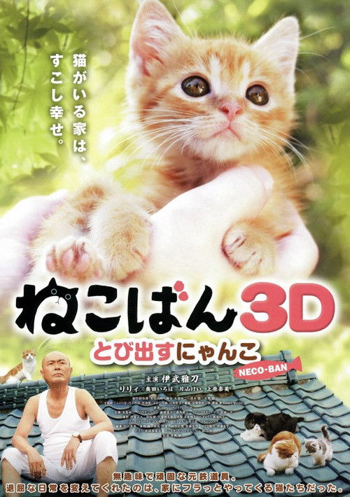ねこばん３Ｄ　とび出すにゃんこ (2011) poster